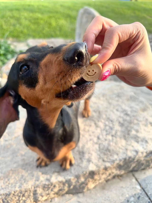 💕 Smiley Heart-Shaped Biscuits Chicken & Peanut Butter Pet Cookies