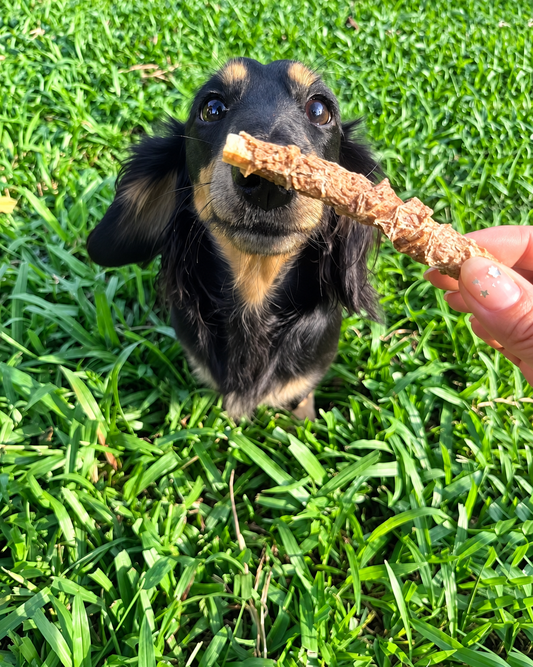 Duck Wrapped Goose Trachea🦆✨