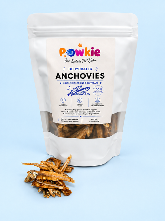 Anchovies 🐟✨