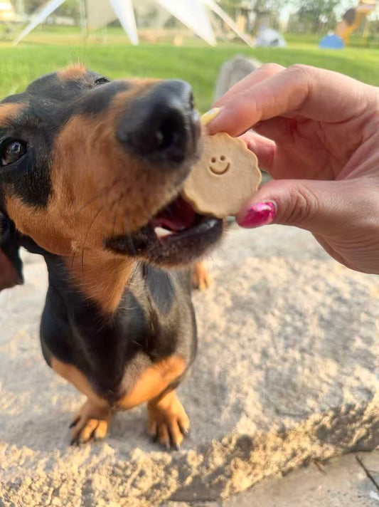 😊 Smiley Round-Shaped BiscuitsChicken & Peanut Butter Pet Cookies