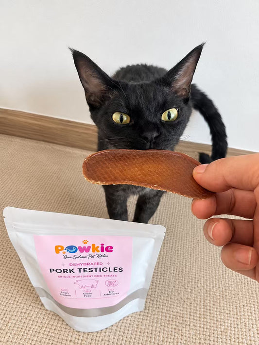 Pork Testicles 🐷✨
